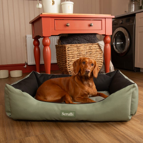 Scruffs Expedition Pet Box Bed