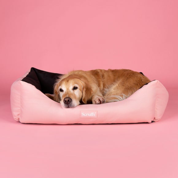 Scruffs Expedition Pet Box Bed