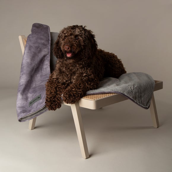 Scruffs Kensington Dog Blanket
