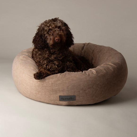Scruffs Oslo Donut Dog Bed