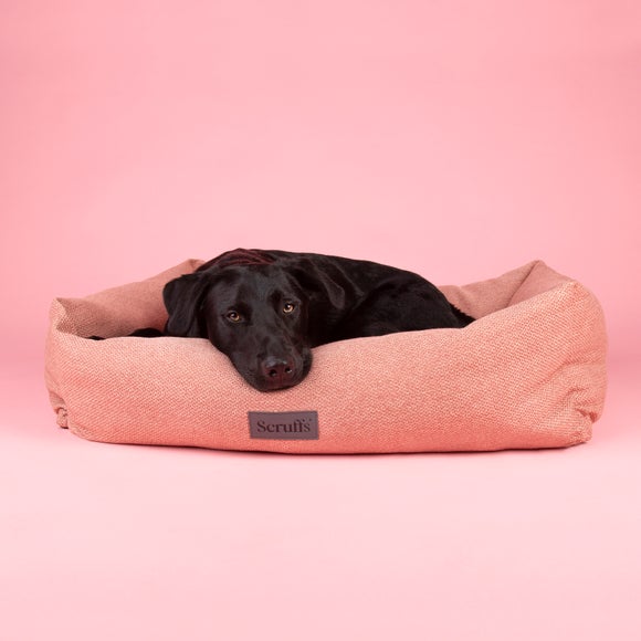 Scruffs Seattle Pet Box Bed
